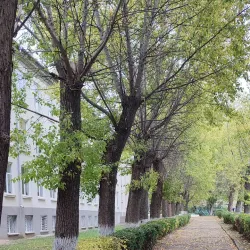 Victory Park - Balti