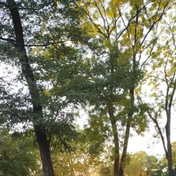 Victory Park - Balti