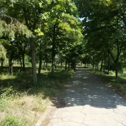 Bender City Park - Bender