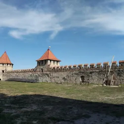 Bender Fortress - Bender