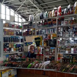 Central Market - Bender