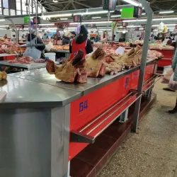 Central Market - Bender