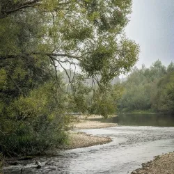 Dniester River Embankment - Bender