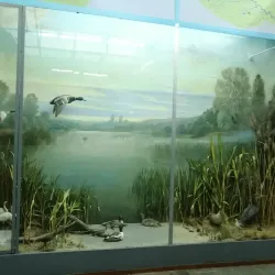 Museum of History and Ethnography of Bender - Bender