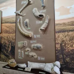 Museum of History and Ethnography of Bender - Bender