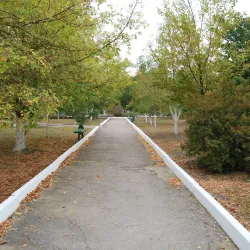 Cantemir Central Park - Cantemir