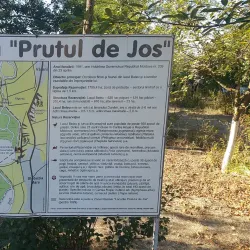 Prut River Natural Reserve - Cantemir