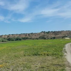 Prut River Natural Reserve - Cantemir