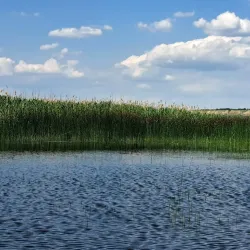 Prut River Natural Reserve - Cantemir