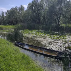 Prut River Natural Reserve - Cantemir