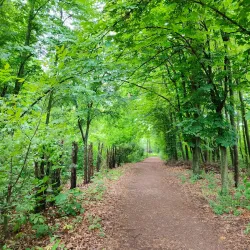 Chisinau Botanical Garden - Chisinau