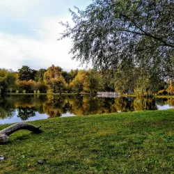 Chisinau Botanical Garden - Chisinau