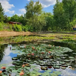 Chisinau Botanical Garden - Chisinau