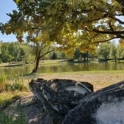 Chisinau Botanical Garden - Chisinau