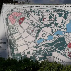 Chisinau Botanical Garden - Chisinau