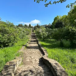 Chisinau Botanical Garden - Chisinau
