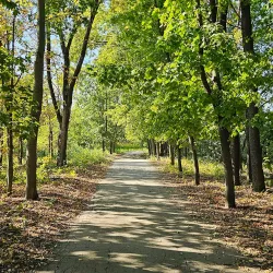 Chisinau Botanical Garden - Chisinau