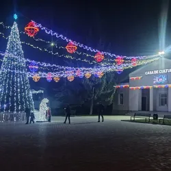 Cricova Cultural Events - Cricova