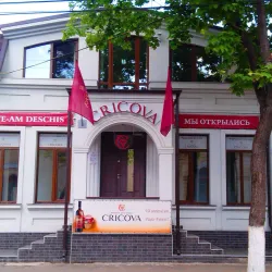 Local Artisan Shops - Cricova