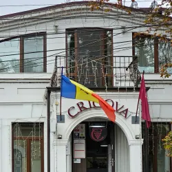 Local Artisan Shops - Cricova
