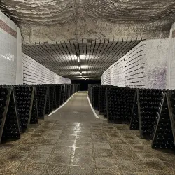 Moldovan Wine Tasting Experience - Cricova