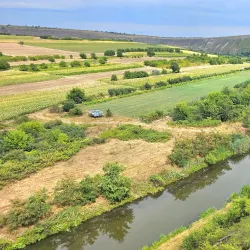 Nearby Orheiul Vechi Monastery Complex - Cricova