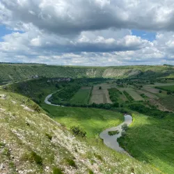 Natural Reserve near Criuleni - Criuleni