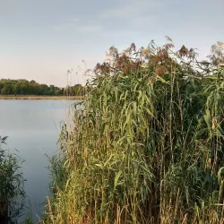 Floresti Cultural Center - Floresti