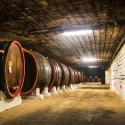 Local Vineyards - Floresti