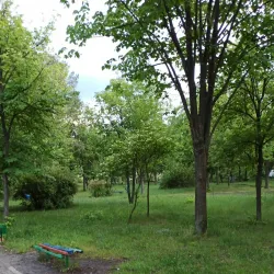 Nature Trails around Floresti - Floresti