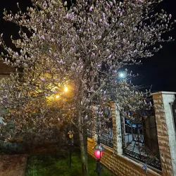 Saint Nicholas Church - Floresti