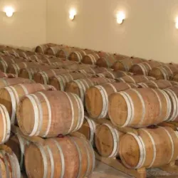 Leova Wine Cellars - Leova