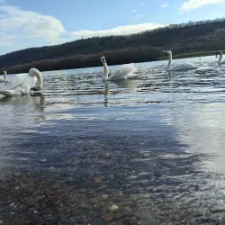 Soroca City Park - Soroca