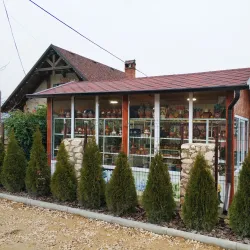 Local Artisan Workshops - Straseni