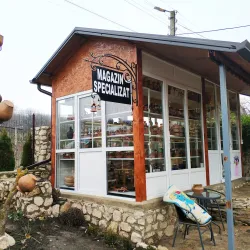 Local Artisan Workshops - Straseni