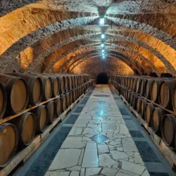 Local Wine Cellars - Straseni