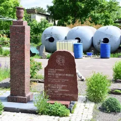 Local Wine Cellars - Straseni