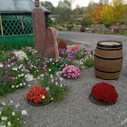 Local Wine Cellars - Straseni