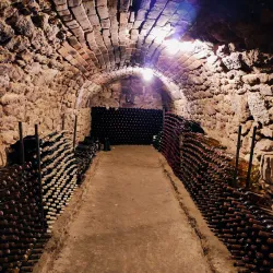 Local Wine Cellars - Straseni