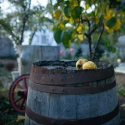 Local Wine Cellars - Straseni