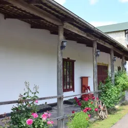 Local Wine Cellars - Straseni