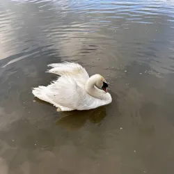 Straseni Central Park - Straseni