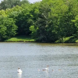 Straseni Central Park - Straseni