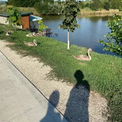 Straseni Central Park - Straseni