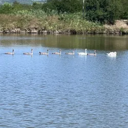 Straseni Central Park - Straseni