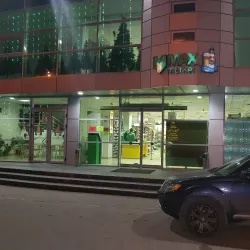 Local Market of Vulcănești - Vulcanesti