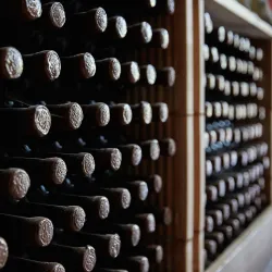 Surrounding Vineyards and Countryside - Vulcanesti