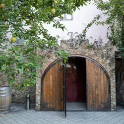 Surrounding Vineyards and Countryside - Vulcanesti