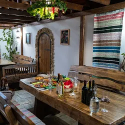 Surrounding Vineyards and Countryside - Vulcanesti