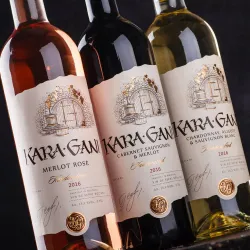 Surrounding Vineyards and Countryside - Vulcanesti